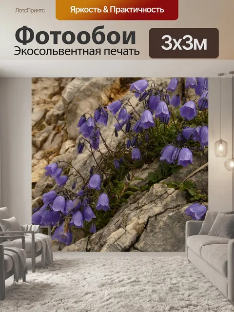 Фотообои Карлик колокольчик