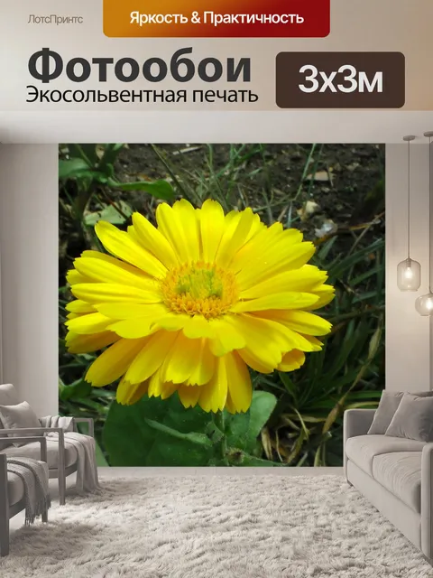 Фотообои Желтый цветок календулы