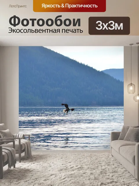 Фотообои Орел