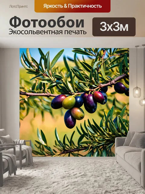Фотообои италия живопись: плоды оливки на дереве во время сбора урожая