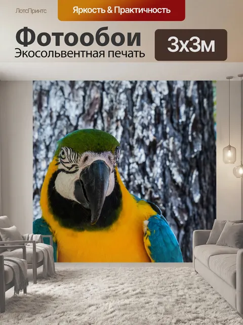 Фотообои Синий и желтый ара