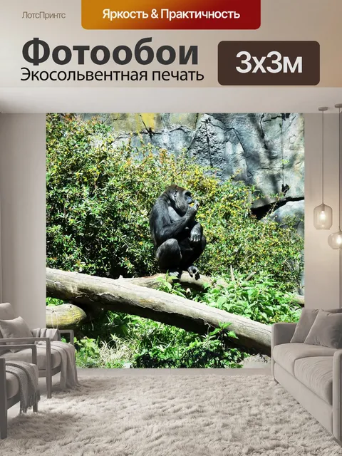 Фотообои Горилла