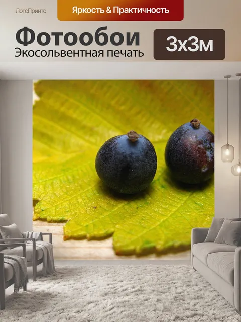 Фотообои Дикая черника