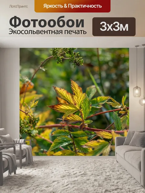 Фотообои Умиротворение