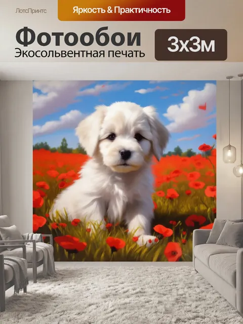 Фотообои мальтийская болонка, белая шерсть, маковое поле