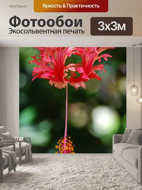 Фотообои Серьга