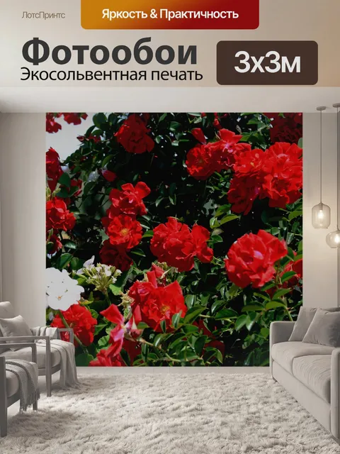 Фотообои Розовый куст с ярко-красными розами