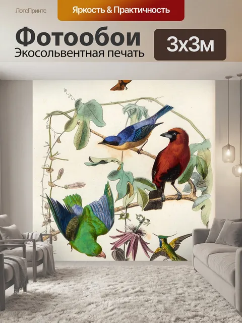 Фотообои Винтажные художественные иллюстрации пти