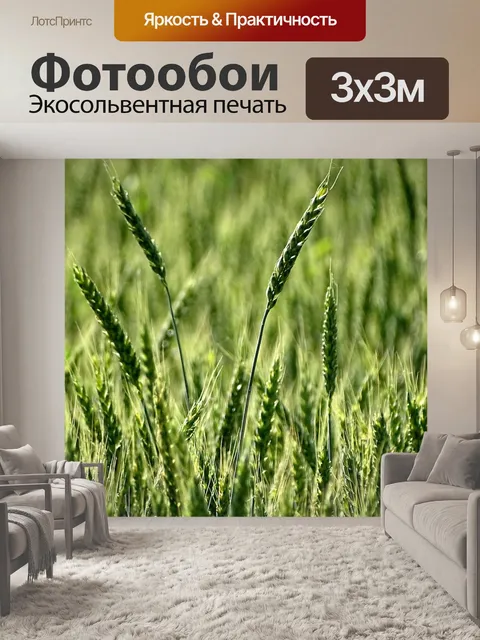 Фотообои Колосья