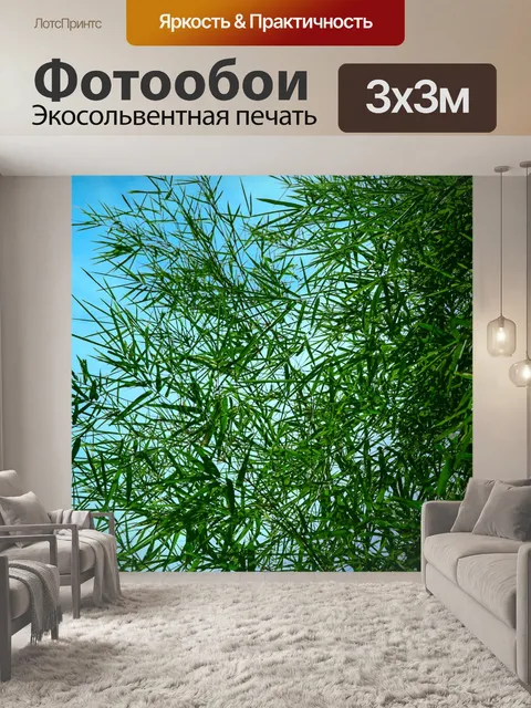 Фотообои Листья бамбука