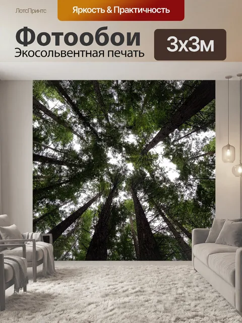 Фотообои Лес