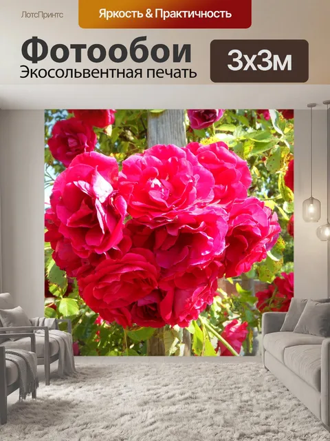 Фотообои Сад