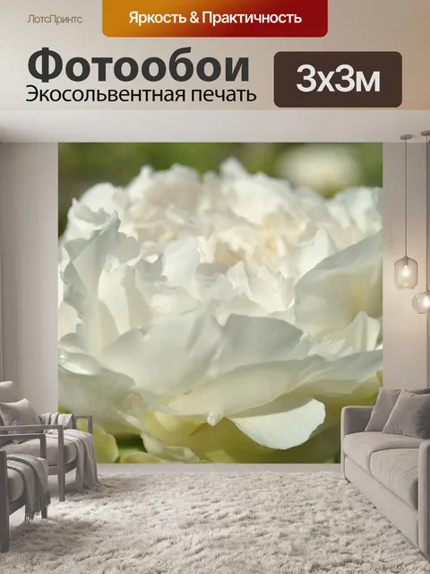 Фотообои Белый