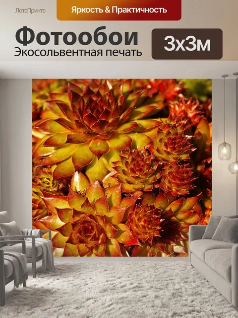 Фотообои Каменная клумба
