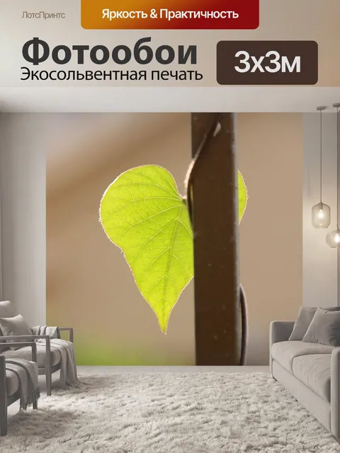 Фотообои Свежий новый лист против солнечного свет