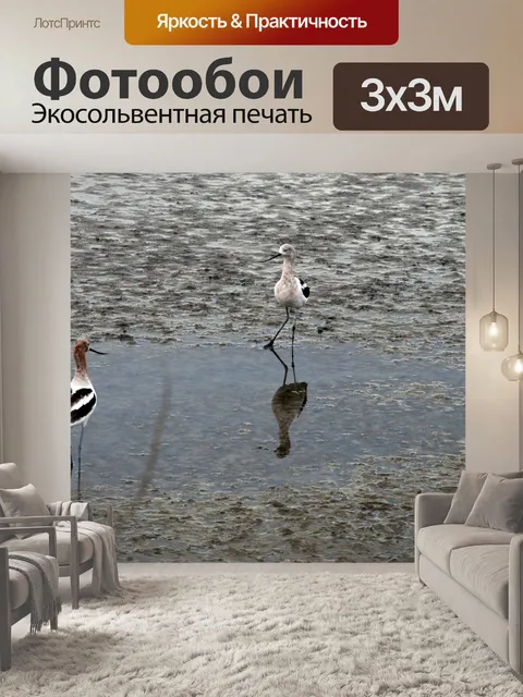 Фотообои Пара сваях в водно-болотных угодьях