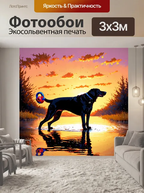 Фотообои моменты из жизни черного лабрадора