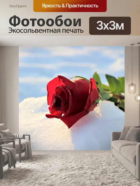 Фотообои Замороженные красная роза в снегу