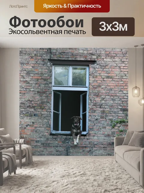 Фотообои Собака