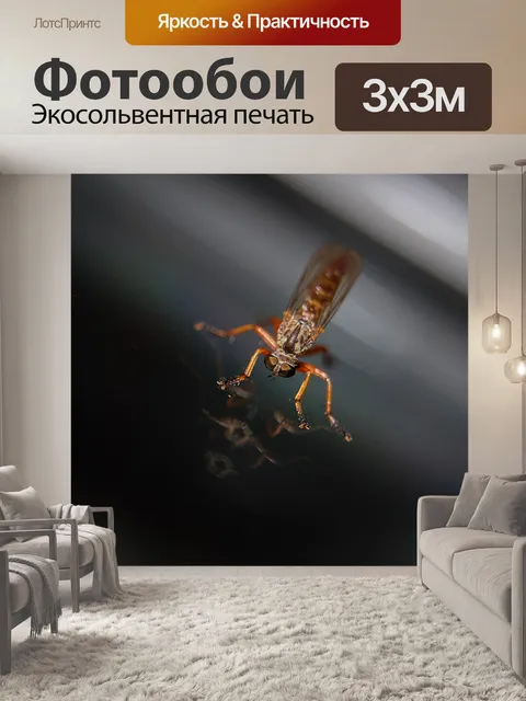Фотообои Комар