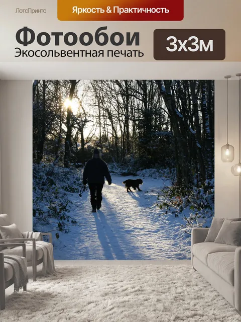 Фотообои Прогулки с собакой