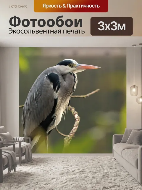 Фотообои Птица