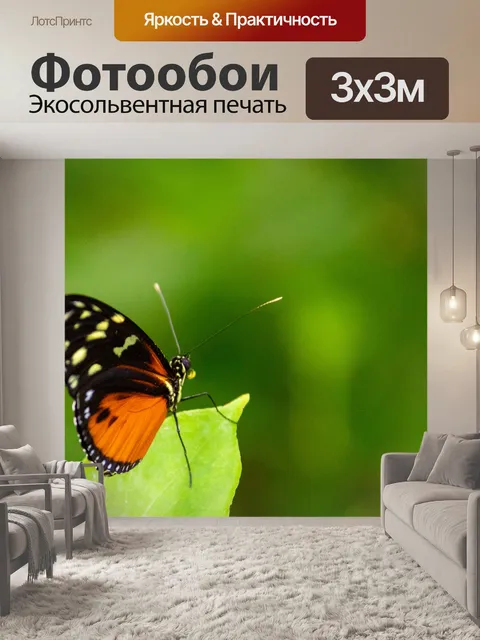 Фотообои Тропическая бабочка