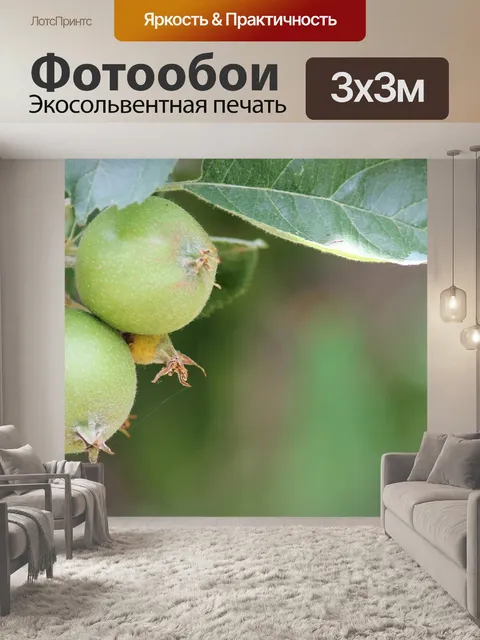 Фотообои Яблоки