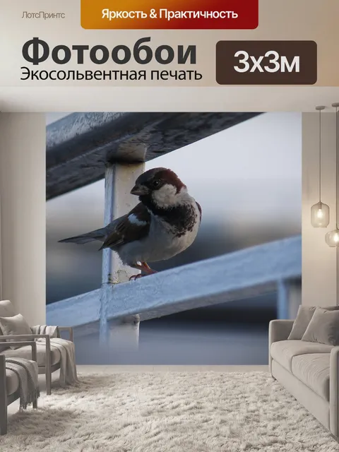 Фотообои Воробей
