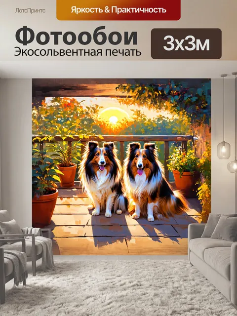 Фотообои шелти мирно сидят на террасе, смотря на заходящее солнце, их темпераментные глазки отражают свет