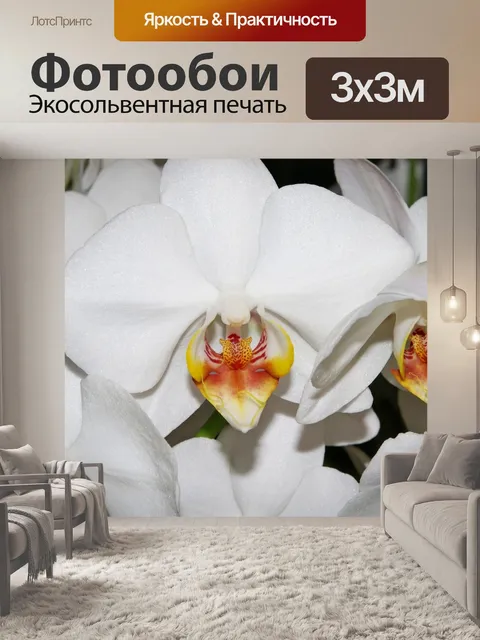 Фотообои Орхидеи