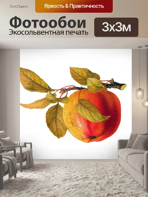 Фотообои Яблоко Фрукты Старинное Искусство
