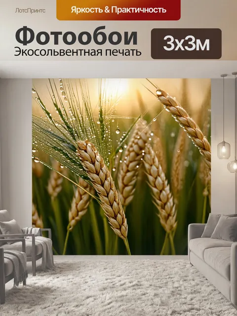 Фотообои колос, приклоненный под тяжестью росы утром, с каплями воды, блестящими на его волокнах