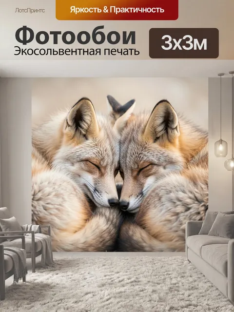 Фотообои Спящие лисы в объятиях