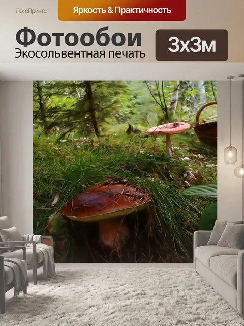 Фотообои Грибы