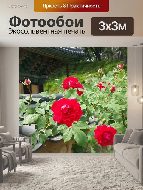 Фотообои Роза