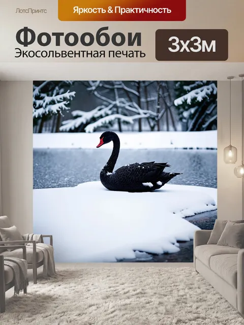 Фотообои изображение черного лебедя в зимнем пейзаже