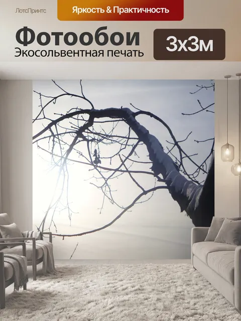 Фотообои Замороженные дерево в сверкающих Солнца