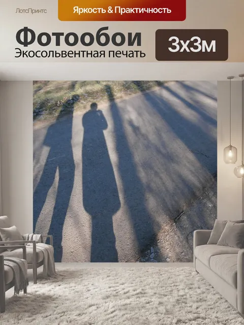 Фотообои Тень