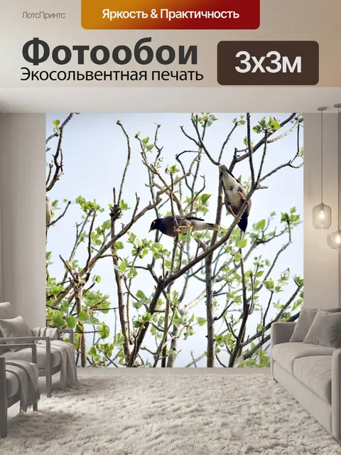 Фотообои Мошенничество