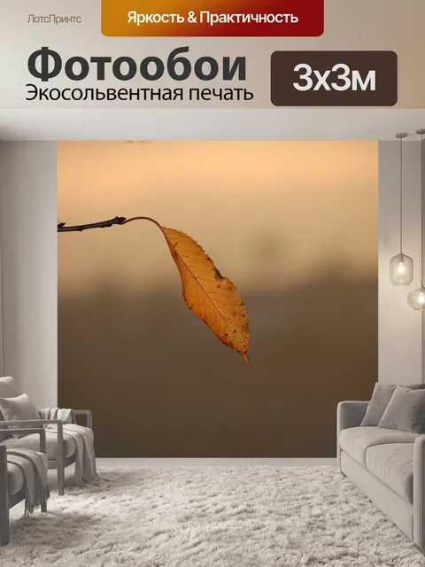 Фотообои Осенний лист