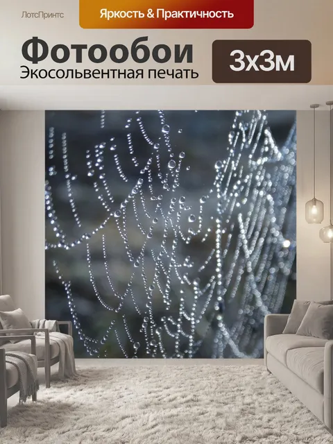 Фотообои Капля росы