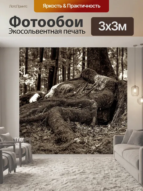 Фотообои Мох
