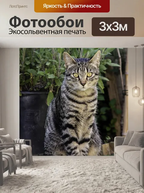 Фотообои Кошка