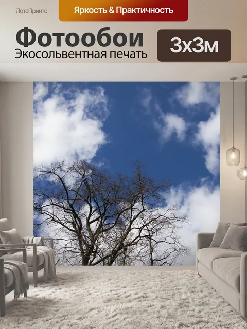 Фотообои Дерево