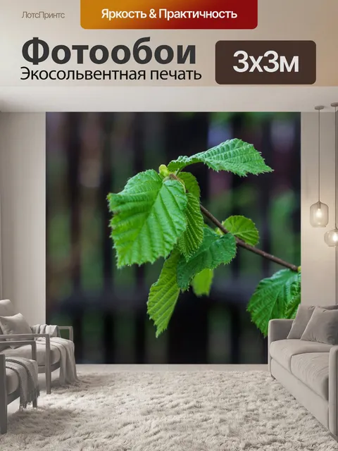 Фотообои Орешник