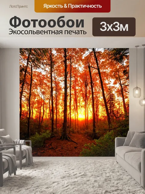 Фотообои оранжевые закаты, необычные формы деревьев, красота природы