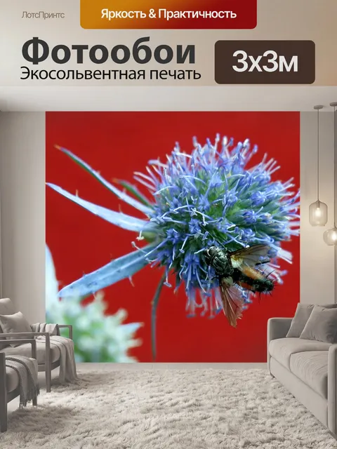 Фотообои Кровь пчелы