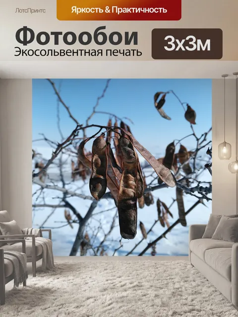 Фотообои Природа