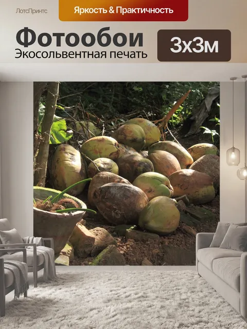 Фотообои Пальма